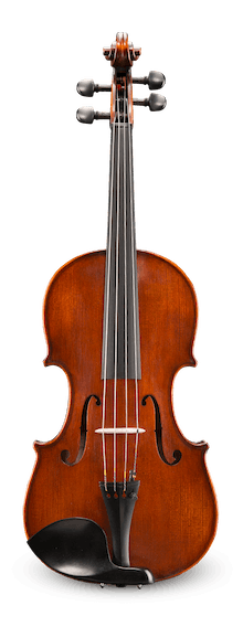 VA305S Viola 13” setup