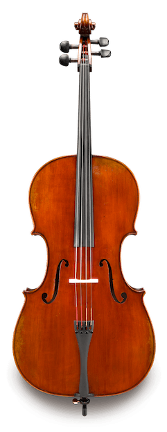 Albert Nebel VC601 Cello alone