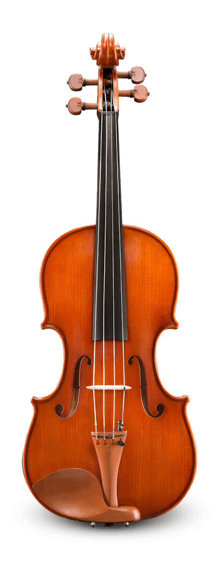Eastman VA200SBC - 11 Viola outfit