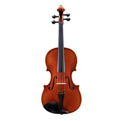 Eastman VA 210 14" Viola Outfit