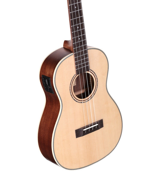 Alvarez Artist Guitar Model AU70WB
