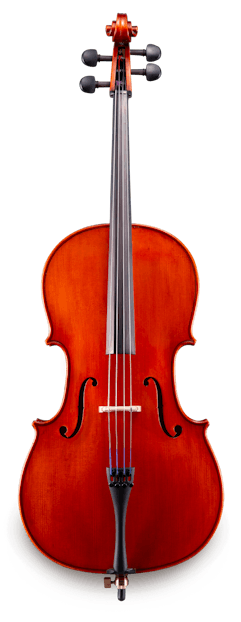 Samuel Eastman VC100 1/2 Cello outfit