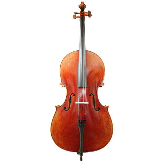 Dario Giovani 4/4 Cello