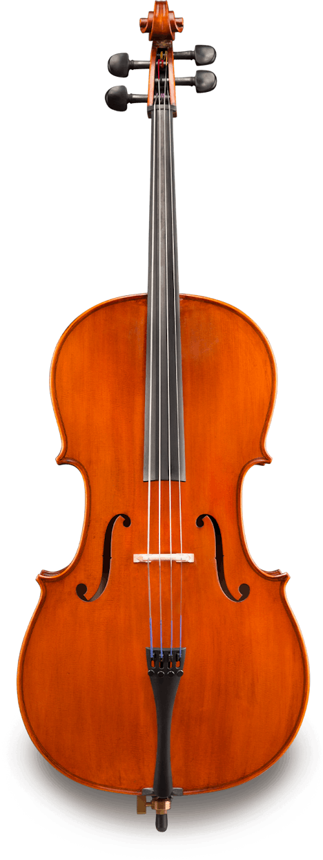 VC140SBC Cello outfit 
CC40/BC10