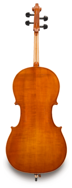 VC200 - 4/4 Cello alone