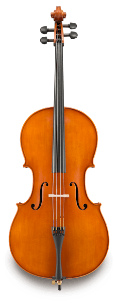 VC200 - 4/4 Cello alone