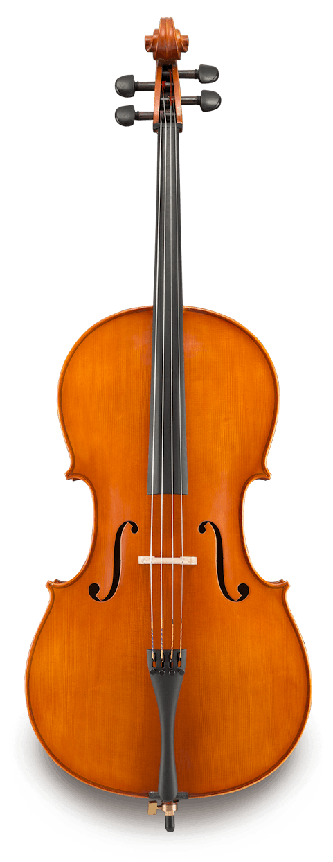 VC200SBC - 4/4
 Cello outfit
CC50/BC301