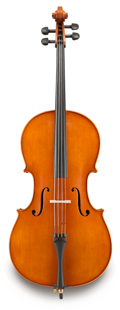 Eastman VC200 1/2 Cello Outfit