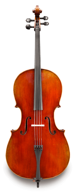 Eastman VC605s 4/4 Cello
