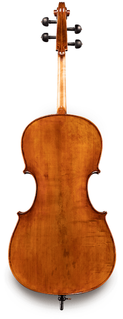 VC830 30th Anniversary Model Maple Wood Model Stradivarius 4/4 Cello