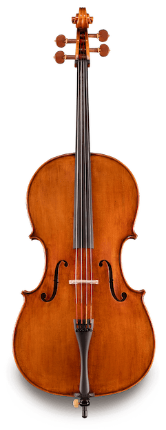 Raul Emiliani VC928 cello alone
