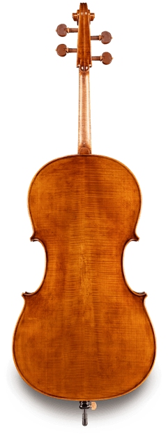 Raul Emiliani VC928 cello alone