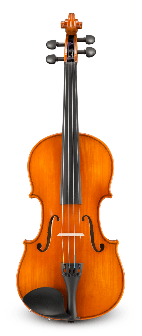 VL100 1/2 Rental Violin