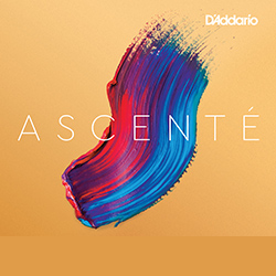 ASC310-1 ASCENTE VN SET 4/4