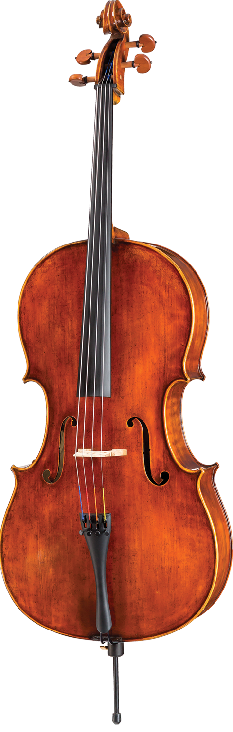 Dragon Cello DR10 3/4 Size