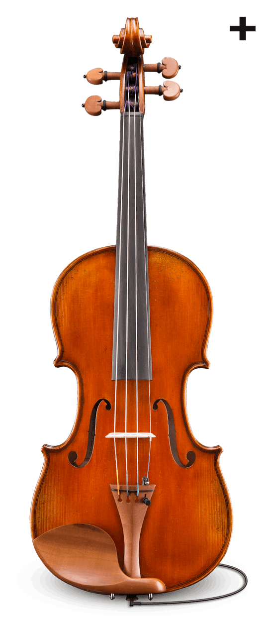 VL405S+ 4/4 Violin with setup