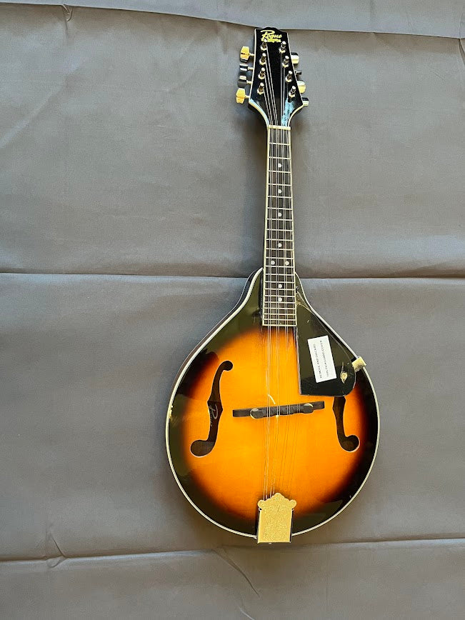 Rogue Fine Instruments Mandolin RM-100A Repaired