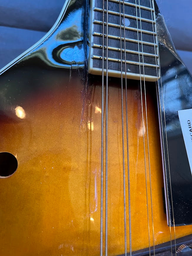 Rogue Fine Instruments Mandolin RM-100A Repaired