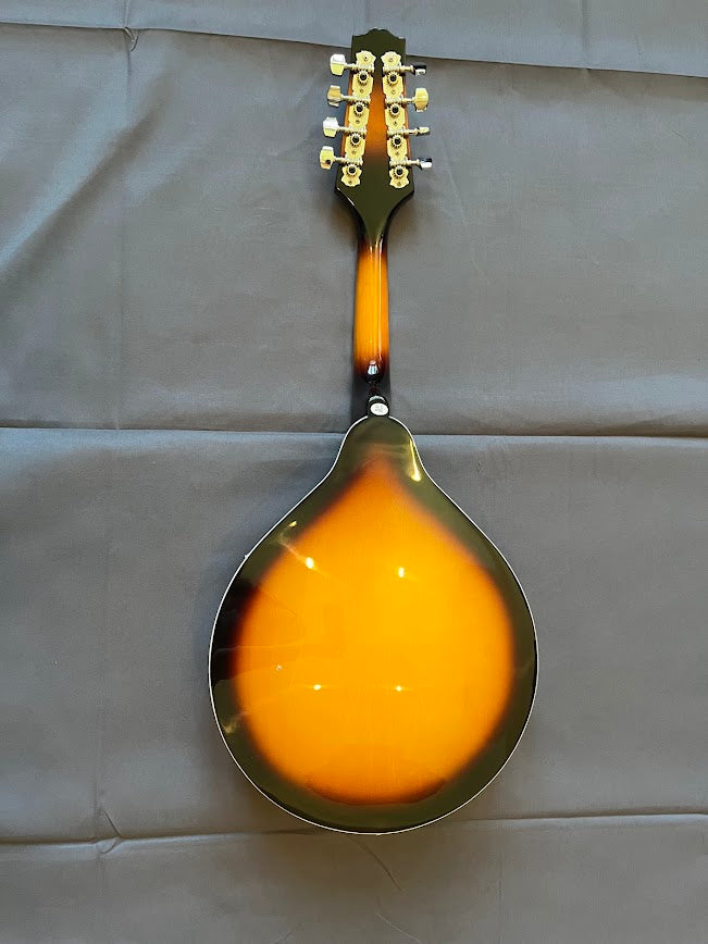 Rogue Fine Instruments Mandolin RM-100A Repaired