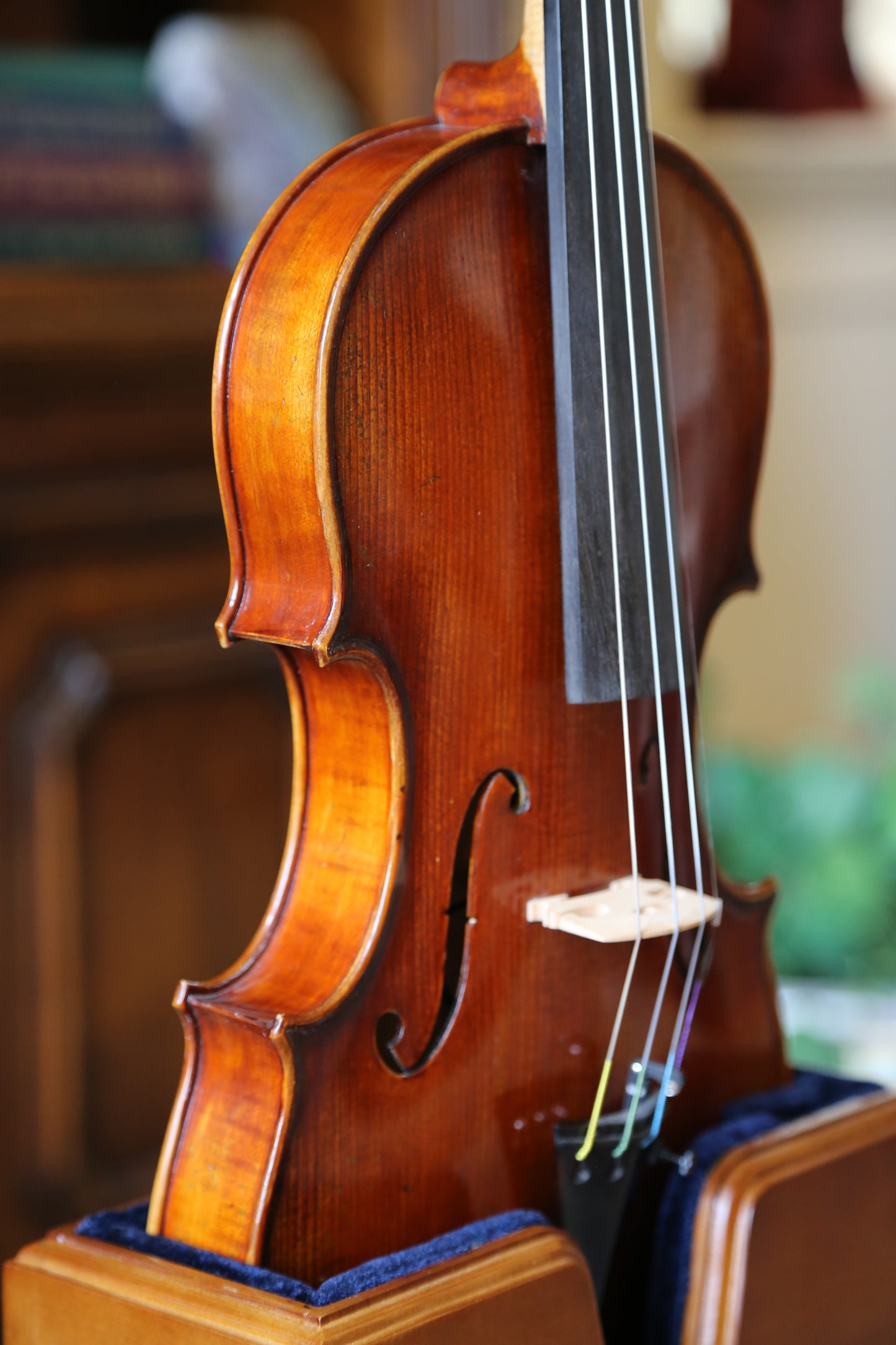 Eastman VL402+ Electric Violin 4/4 Size and Bow
