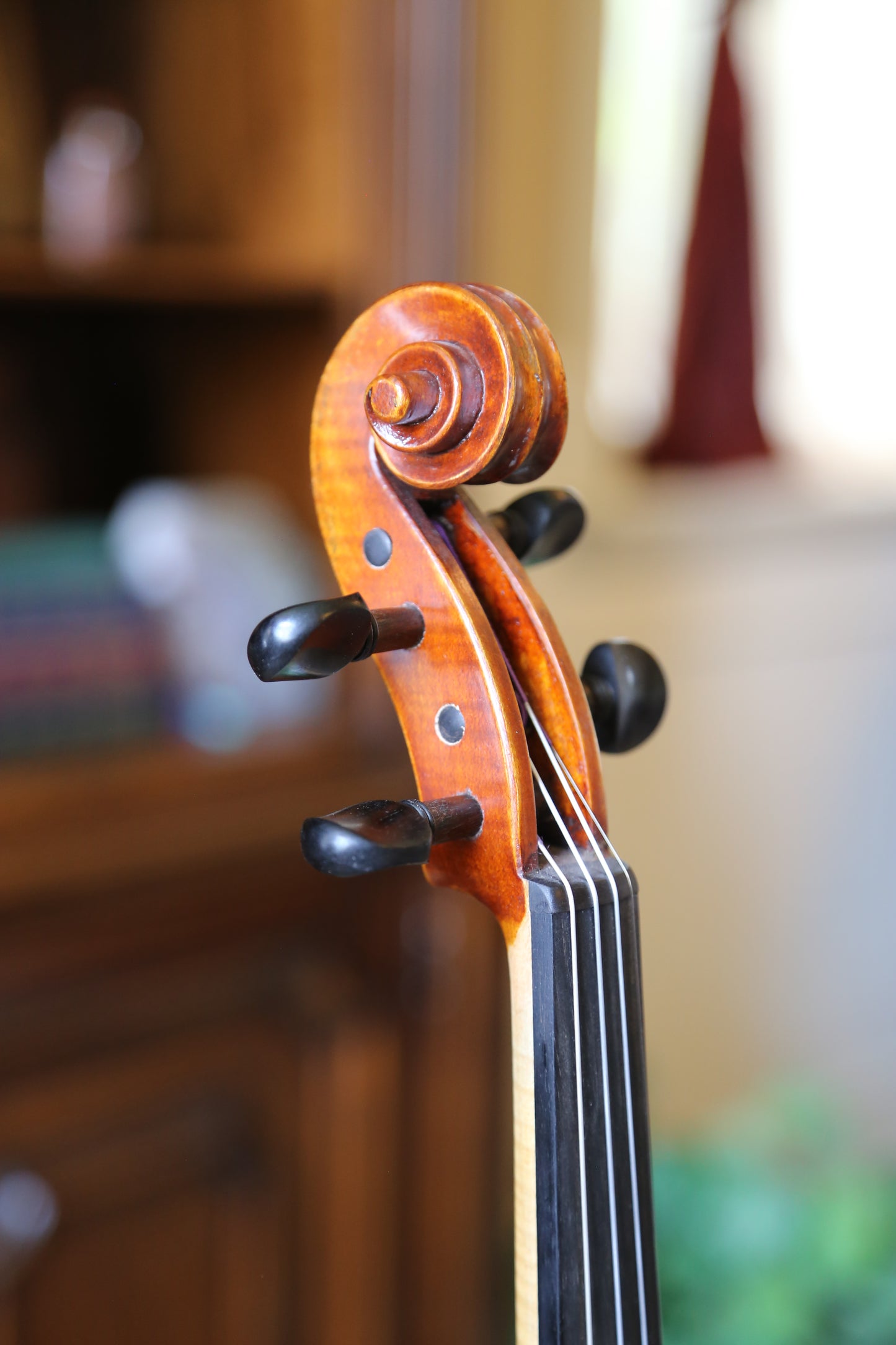 Eastman VL402+ Electric Violin 4/4 Size and Bow