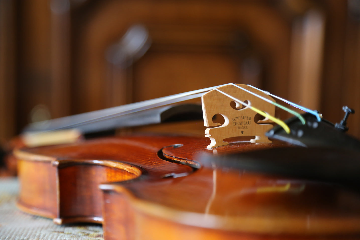 Eastman VL402+ Electric Violin 4/4 Size and Bow