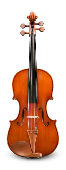 VA300 15" Viola