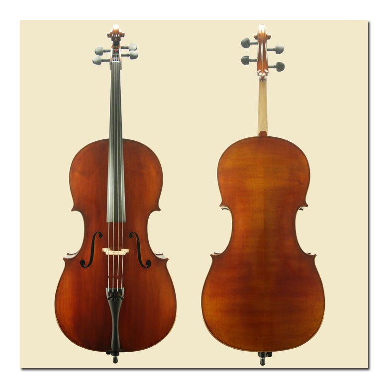 Century Strings C110 Angel Taylor 3/4 Cello