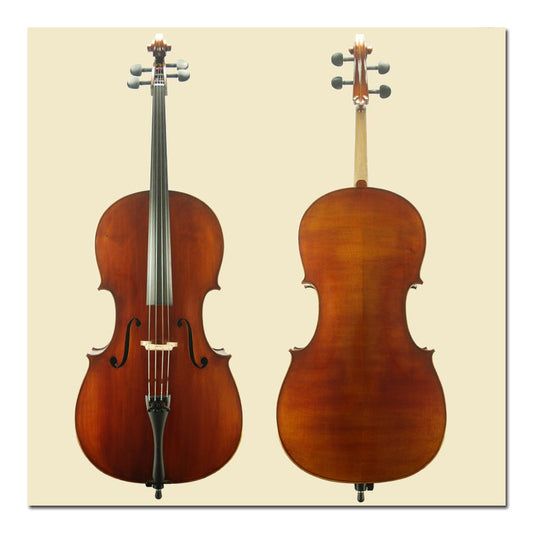 Rental C110 Angel Taylor 4/4 Cello