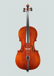 Century Strings Angel Taylor C420 4/4 Cello