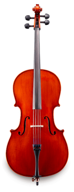 Samuel Eastman VC100 1/4 Cello outfit