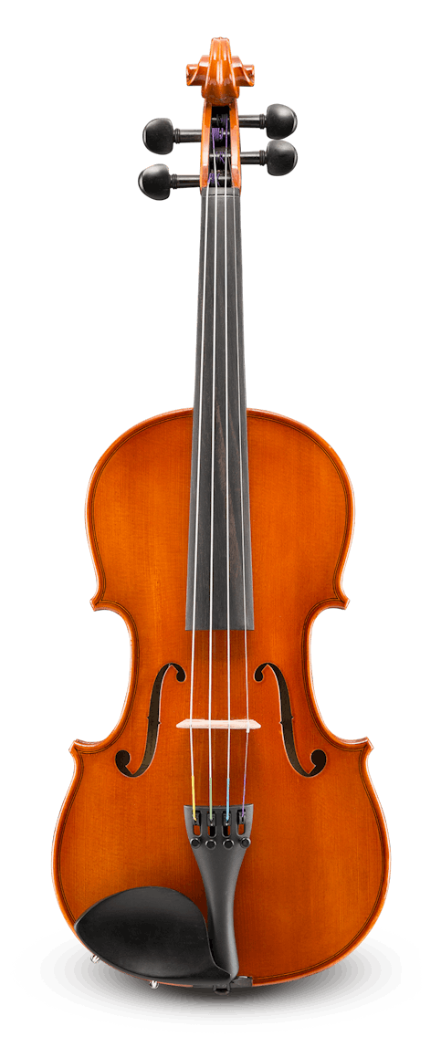 Eastman VL80 1/4 Violin Outfit