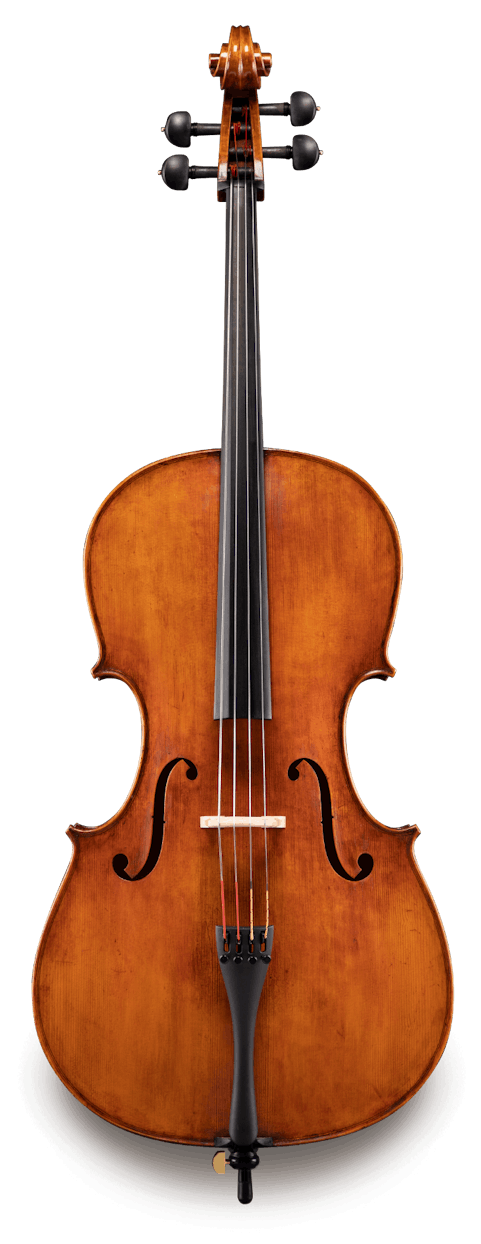 VC830P Cello, Poplar