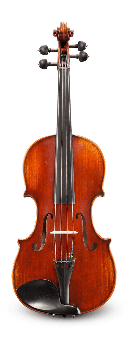 VA501S Viola – Micelli Violins