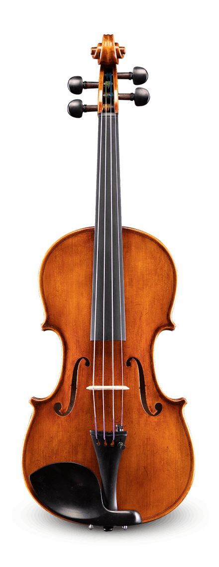 VA830 Viola
