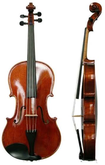 Preferred Viola Rental