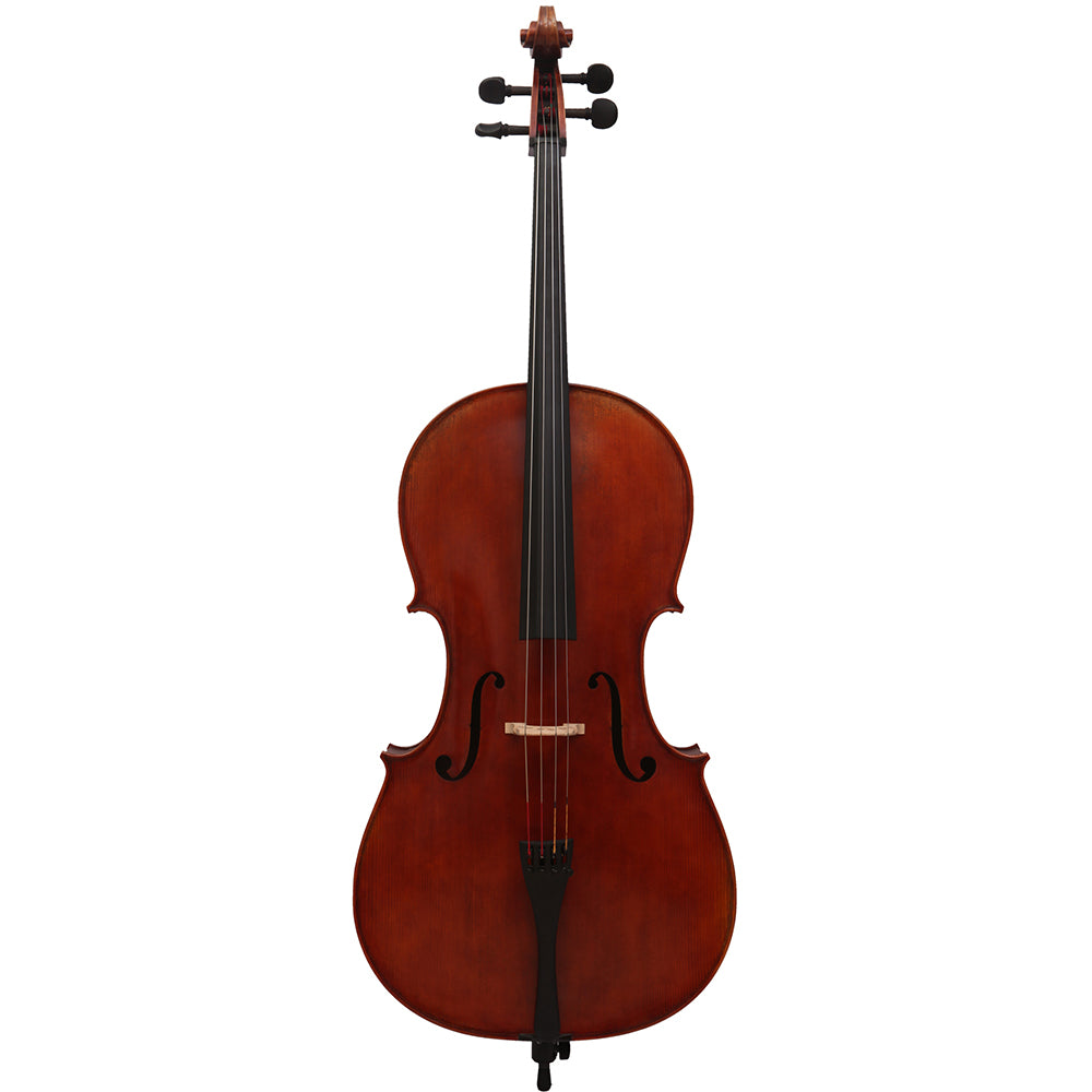 Paolo Lorenzo 4/4 Cello VC B-STOCK