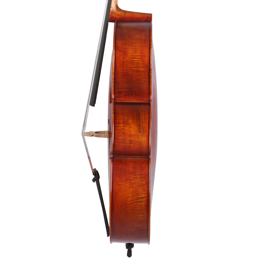 Paolo Lorenzo 4/4 Cello VC B-STOCK